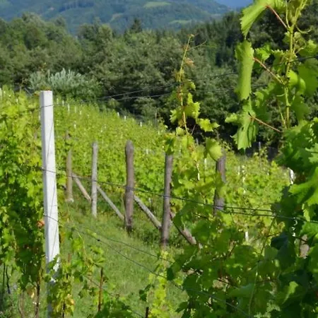 Vetrnik, 47 Alloggio per agriturismo